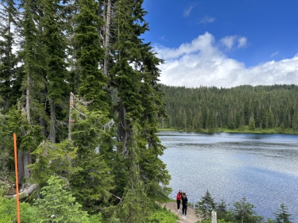 Forested hiking trail connecting Narada Falls and Reflection Lakes